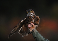 2016-09-15/9f4490cbff7d4ffba12fcda133189c53