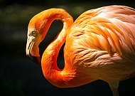 2016-09-15/c0655406ab56a46a91781aa35a261ac6