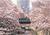 2016-09-28/44d729a0d6499574ad6bf4620744efe7