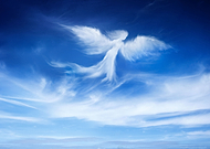 2016-11-01/8d8e2b7fea8434cb99ef3693bf4c73f1