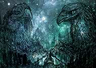 2016-11-22/2906ffc6cf76f1749b7d1c3e70d0ba69