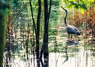 2016-12-08/bf3152a86728432bd053d30209f6941a