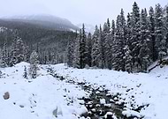 2016-12-12/d501c62bfdaa3bf90e0fbca5907c8dfa