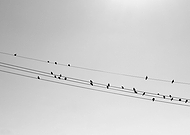 2016-12-20/033900f9fa515e35bb17afddaa857f26