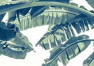 2016-12-20/a713d4e5f7129ca65e3b817ae639ecb1