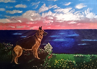 2016-12-31/245a02173abad797fe082b3c02e5b84d