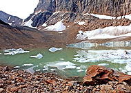 2017-01-01/799bf7c943936f9f69ad267bffc956a6