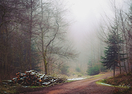 2017-01-02/e6527384aec07018c054dd4fd5b94004