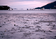 2017-01-11/51b0bc9464a361bb99b81e7c0f9c2398