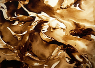 2017-01-26/defe979a4f0d4fbd24749de257dcc956