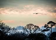 2017-04-01/1491026667_bba8a4898da3cbc96dd4cf511e2a2bd5