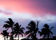 2017-04-01/1491028457_8a0f8a16b0ad6af52f923921a1c680a8