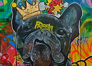 2017-04-10/1491853653_253a98bf0574a07510b84a7fa513a81c