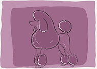 2017-05-09/769be59c51e2062f761c74b04d89f769_02d1ac6063657c5bec48c81f122846e8