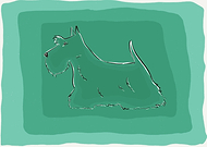 2017-05-09/b4b4e441d7f53e2fcaa6a77dc712df4c_f338c440318bcbff7e4d19ec54c2356c