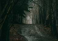 2017-06-22/c66e1297f437843739d6131afafe444a_e040c851e2e0565f658a9bf993567d8d