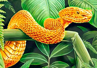 2017-07-10/4acd7ae0623990738b4a5758d89871e2_f393c7df08e4ee00d3c24a1120c9282e