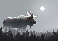 2017-08-19/96acb160babd3b3d63df4668f6cdcd34_2d277952dff32dabff2b5ac988576abd