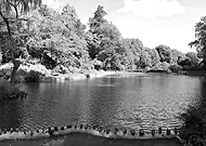 2017-11-07/9d554d09978212f53bc5d14274290f25_bb686f48dfd24160b0856ddfdd32e8c7