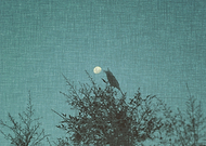 2017-11-16/83d39f8462eb1bada57dc86d624e9373_d8862458bdb1cc7515e203905c492868