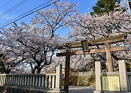 2017-12-17/7e9773ea35983cd3c125a9d930bfacac_cd273ad738db1a012ceec6ae1e52209d