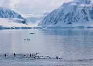 2017-12-17/a13c3cb37060445c355158109c634664_5a265e565949fb2df0c248263ed26f8a