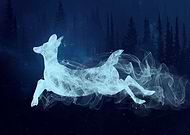 2017-12-26/854e1da80e5cc323b1f875486528b41c_63c267a183e937b03fc3e86fe7ed5d51