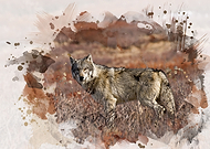 2017-12-28/777bde4aa703938b73c3e390eb3ee1fe_92602e864983b5e14b864d5470e85fdd