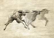 collection-preview-2