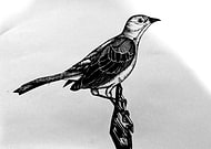 2018-01-16/8610ab48329f64ea4d5ffcf2c8b0add6_4562711531491e6372caed3f99065bd1