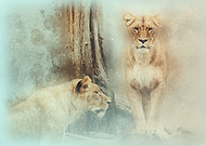 2018-01-31/00e218d70aae443df0cf777ba1d89012_f16586c1de0e659fe1384ebaacec3a58