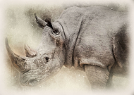 2018-01-31/ac8052a73037cbbf3c7e4e479e24dde7_b3fee25d4ec97952f2c3ab9779755930