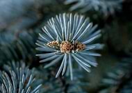 2018-02-19/badbe669108e43824e16eaf65d429ced_93a93c8305c8902425d2528827f1da7e