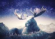 2018-03-12/0e8d3327e63eee91d1dd07a91e092fec_7ef701d411fe2ec4728ebcd2eb360d5d