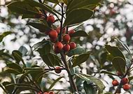 2018-03-12/b31dda5b41e5e2e717e3ea9feb36323c_7b50c6ae2161d02622f76ccd11945133