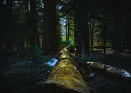 2018-04-17/24c866af51f46f0a4e7741aa1f3013b4_34a31b92bd7c63edc78be98bed693bb4