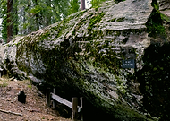 2018-04-20/bca6ddd0f22cccf03ee544780f81264c_e21bfcf46893c41d648b4a7f0d12c9cc