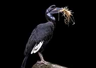 2018-04-27/8945daf8a036473b010b49a96b124c8c_66a19750dc0fba746791d7c876231419