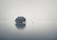 2018-05-03/87b646585bb9dfdbb9fda4faad1f0226_5e811ed7e378fb54a4fb14f381dc5e47