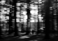 2018-05-10/409b7b83914221b92afb91b3d6bf810e_af1f468b9c95998064c9daf4e5d5355c