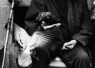 2018-05-10/6c302f06ce9e45daf91576558e4d4bc5_7c824a102d2c3b086fd9ddfab34a3f02