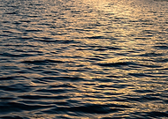 2018-05-11/6c01a699db7c717787535585f22f7f89_67db7a351028af9d0dbca11d2a96b094