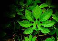 2018-05-11/e8c9173e0dfcc28d441a6583683c3b4c_e6932ffa9443c3228b7691a25b9e639b