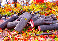 2018-05-13/5899b18933c05772a94aa960aaff4c9c_35c2bf36bb0ecbeb349acfb915455825