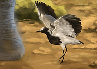 2018-05-17/d4d60c5ec299c87d22bb3f624775f222_0d97cac803c510605c3df01336f4c343