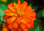 2018-05-20/955a1b72125bd69643ad792edb34ef7f_84cd3a4ea55de967c4740fb001581e3a