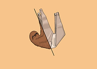 2018-05-21/e410a000a0baa3fe23b5bc8d892abc9a_4ed6fad3c39bbb067638f1df744f02af