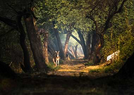 2018-05-24/7e1870d64988e8b59b517a05e3d7ea91_2d944e0b121c332a66c9928931e8fb18