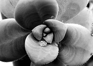 2018-05-24/8b4227ad9ce7f0b6f5602a7d2afc0dc8_800f448edfdb307f15a1779a9d67cf6c