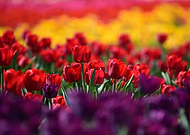 2018-05-25/f50f999a7ce5e33241d03a8e9edd2cf3_7e6e3ec9482e37b6cd3e3f59b3605c56